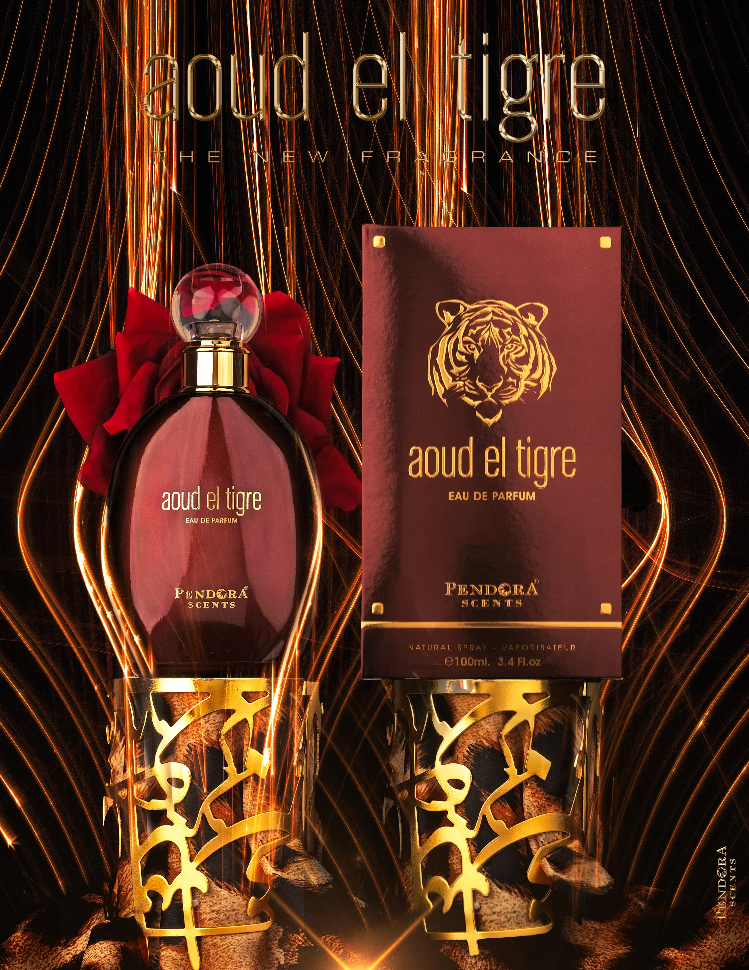 Aoud Tigre - Image 3