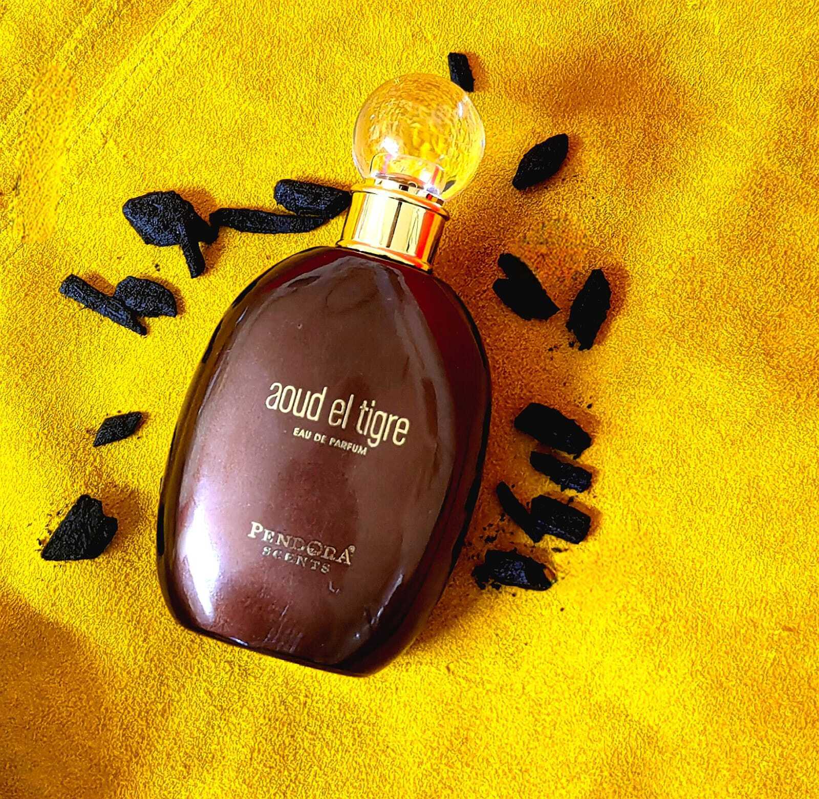 Aoud Tigre - Image 4