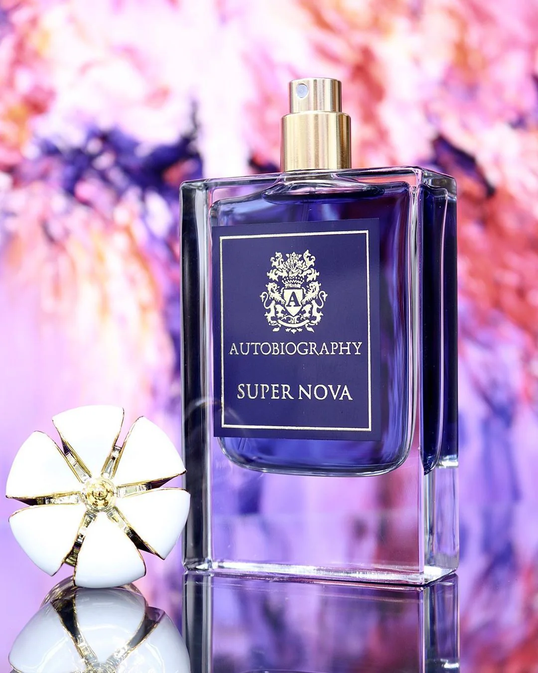 AUTOBIOGRAPHY SUPER NOVA - Image 3