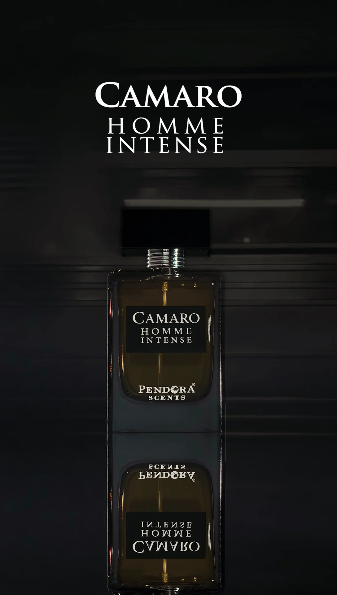 CAMARO HOMME INTENSE - Image 3