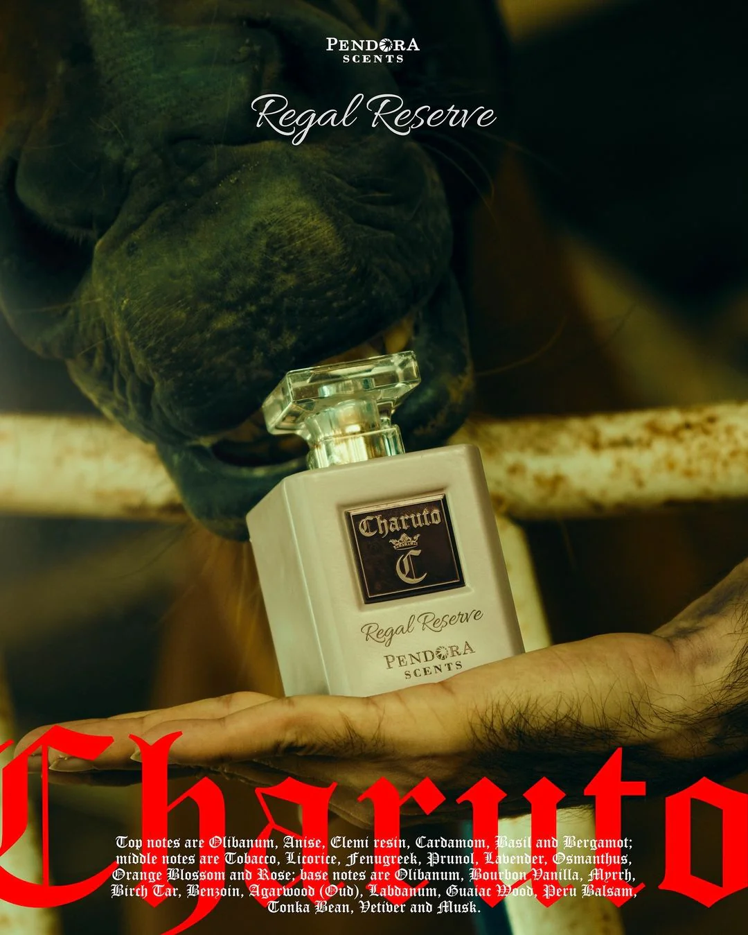 Charuto Regal Reserve - Image 4