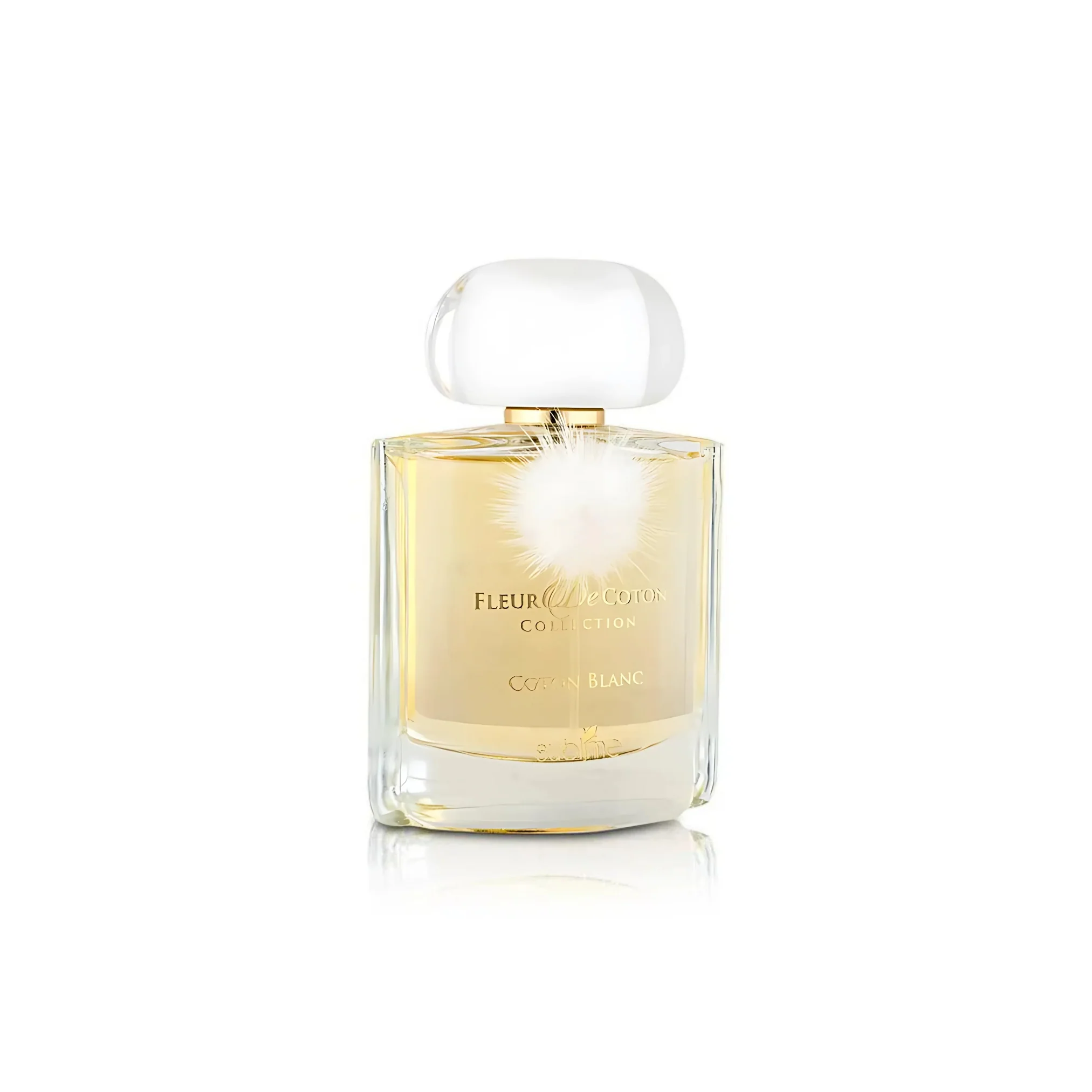 Coton Blanc-Fleur De Coton - Image 3
