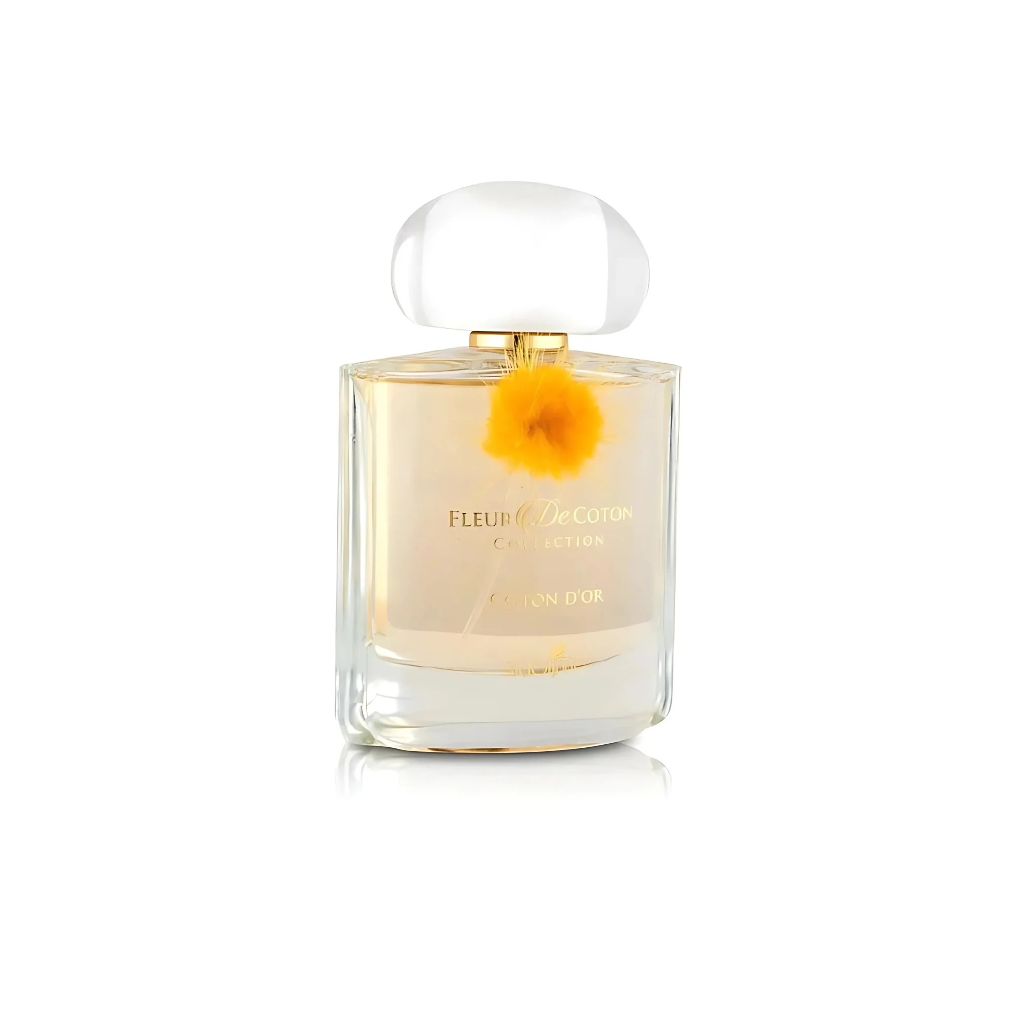 Coton D'or - Fleur De Coton - Image 3
