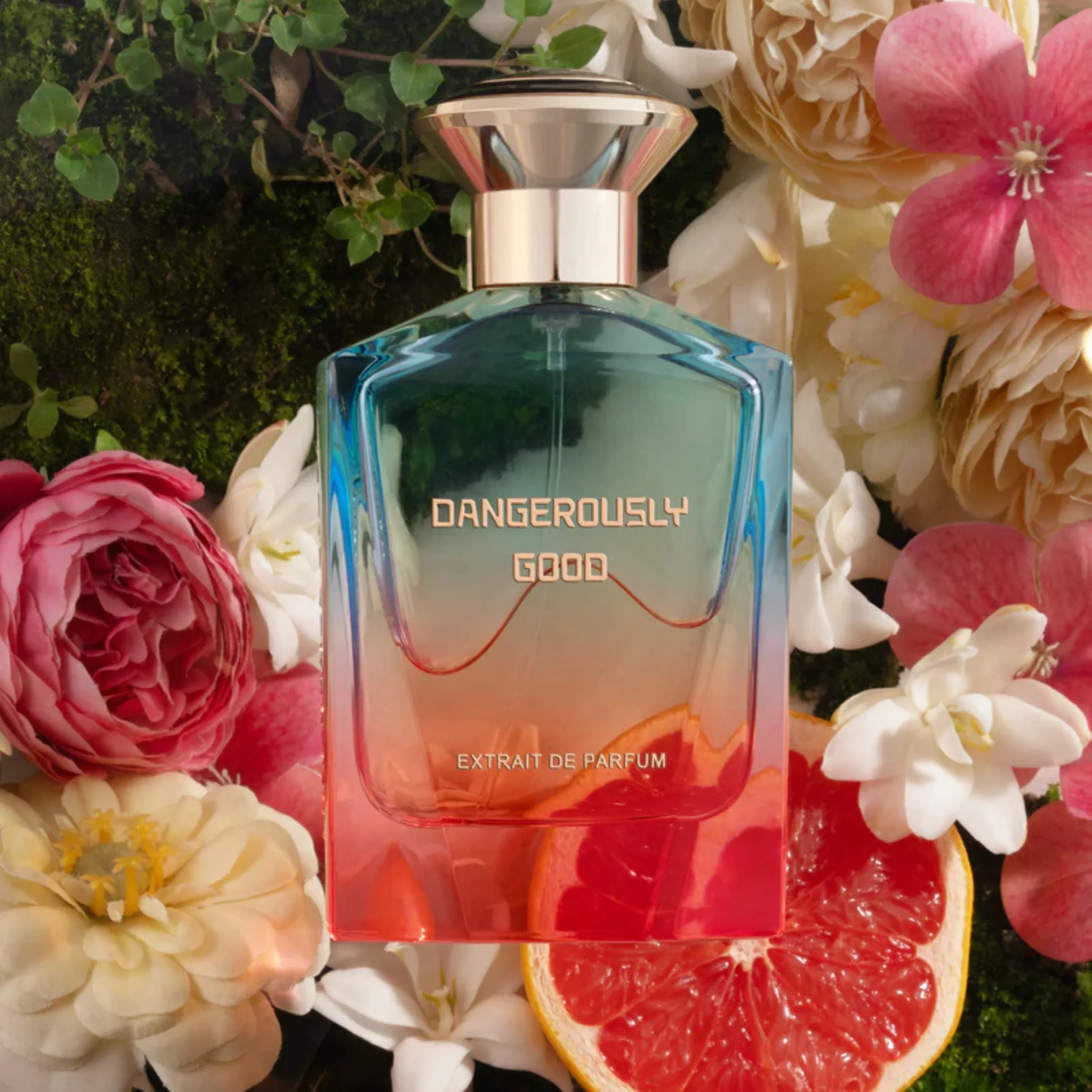 Dangerously Good - Image 3