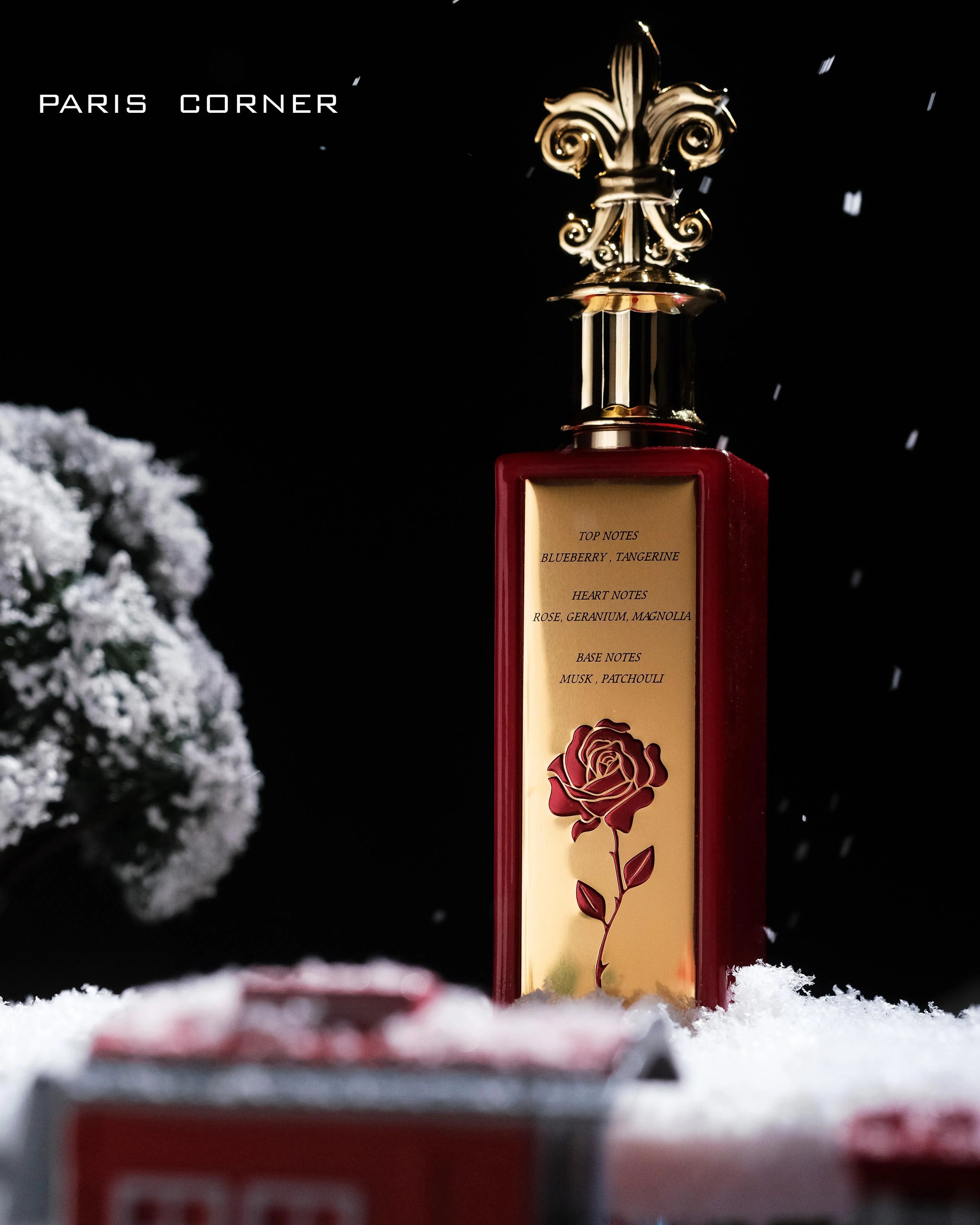 December Rose - Image 3