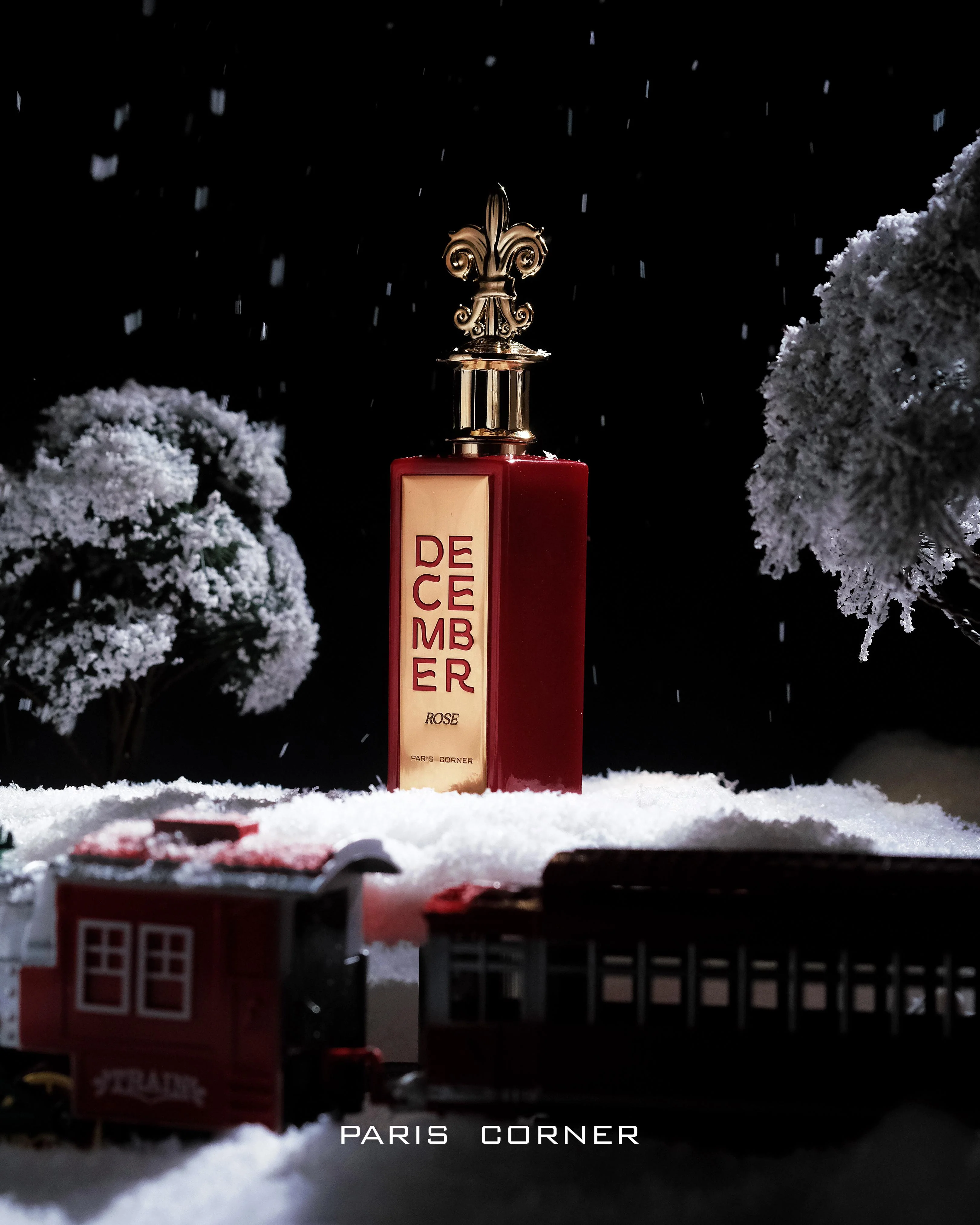 December Rose - Image 4