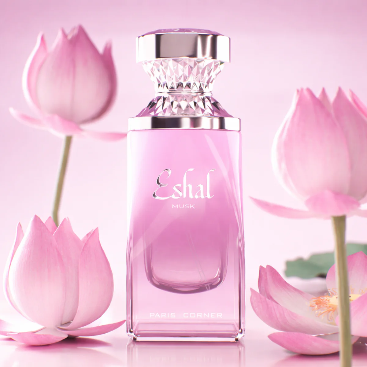 Eshal Musk - Image 4
