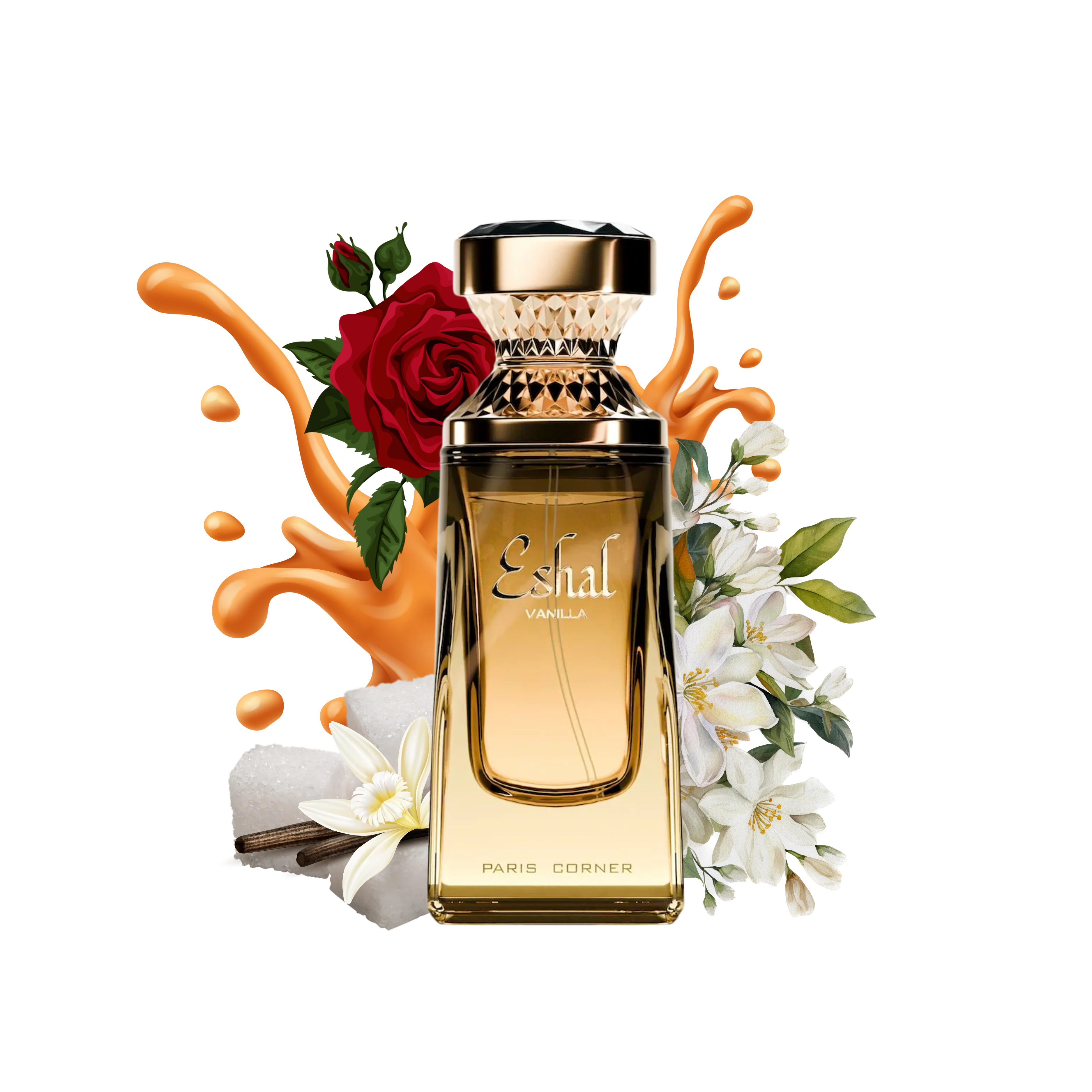 Eshal Vanilla - Image 3
