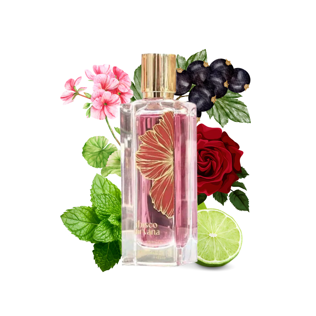 Ibisco Nirvana 65ml