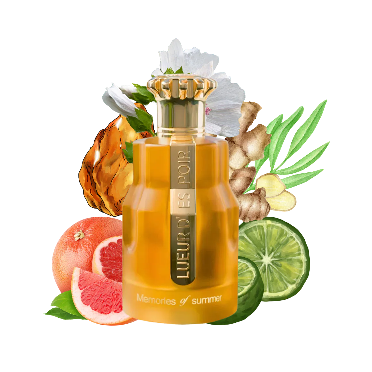 LUEUR Memories of Summer