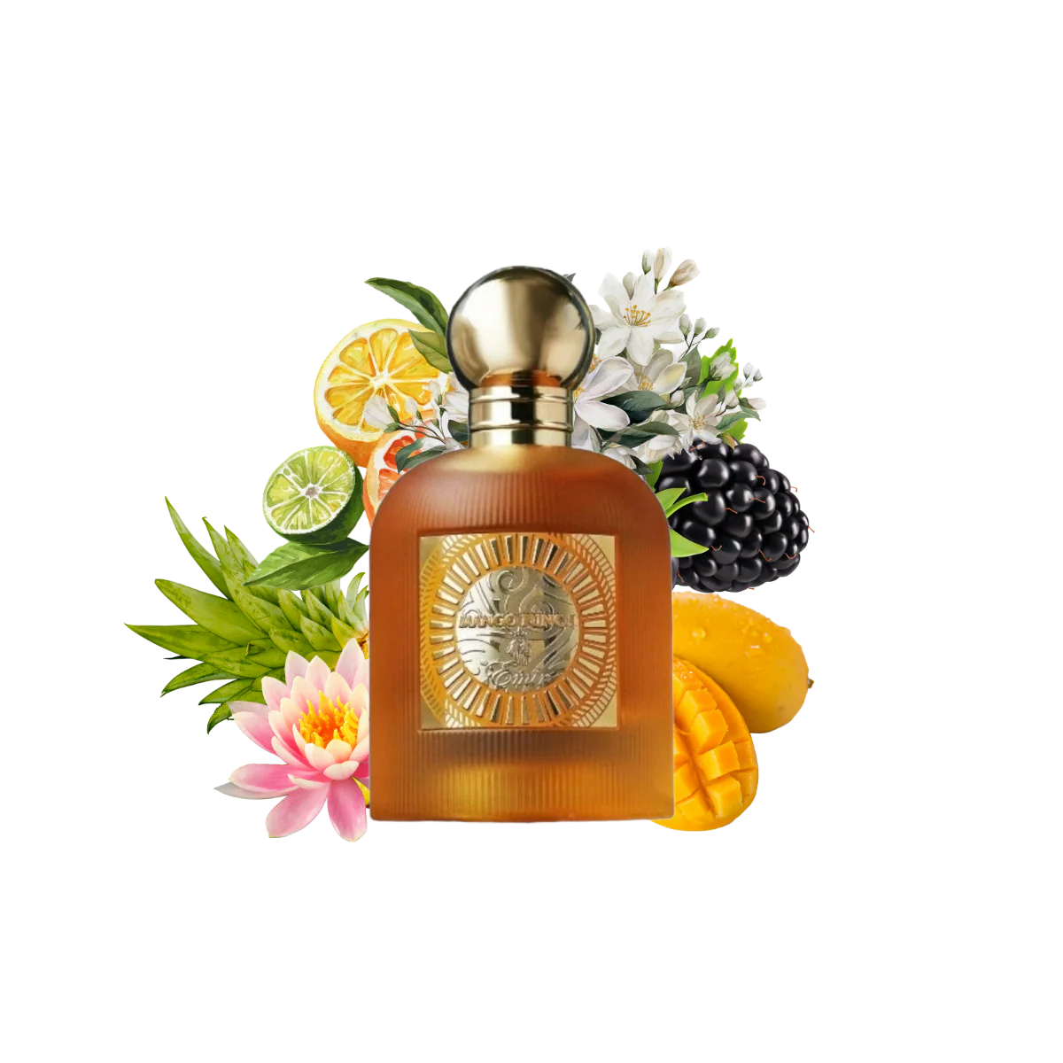Mango Punch Emir 100ml