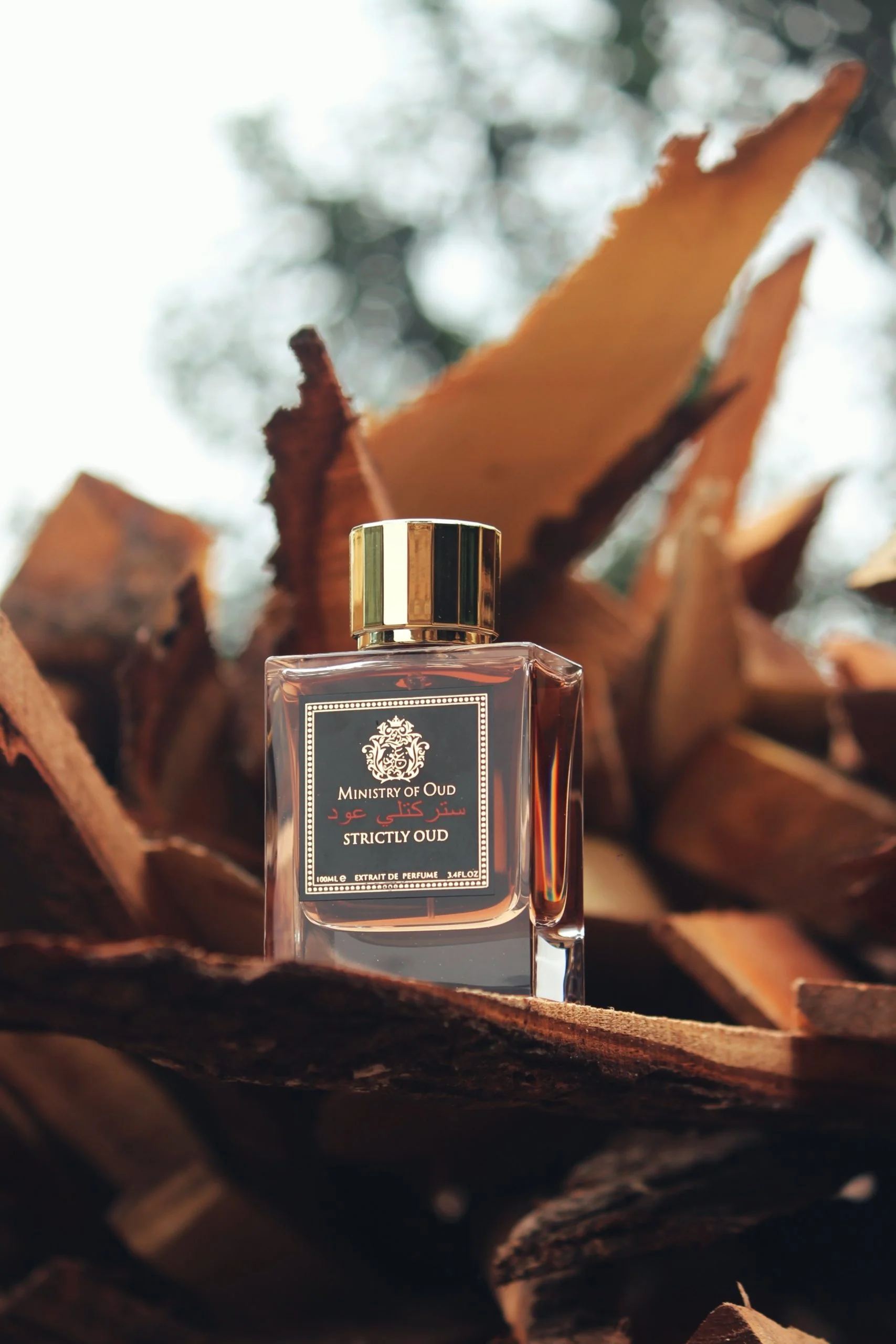 MINISTRY OF OUD - STRICTLY OUD - Image 4