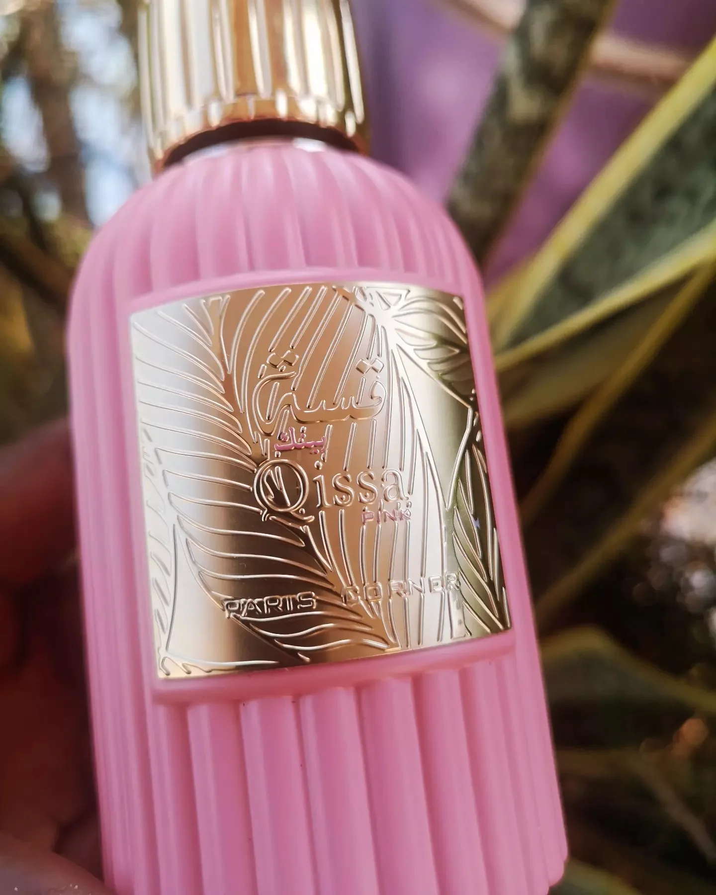 QISSA Pink - Image 5