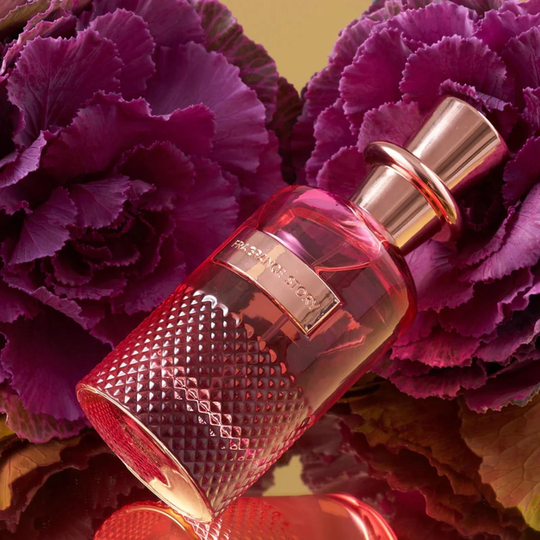 The Must Exceptional - Image 5